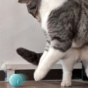 Smart Pet Balls For Playing Cat